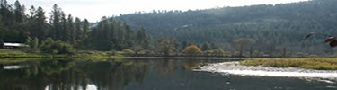 Clearwater River. One of the major rivers that pass through Nez Perce Country